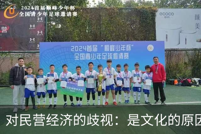 对民营经济的歧视：是文化的原因，还是意识形态的推动