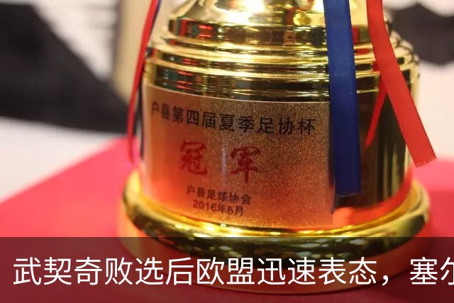 武契奇败选后欧盟迅速表态，塞尔维亚入盟之门正式敞开：欢迎塞尔维亚的加入