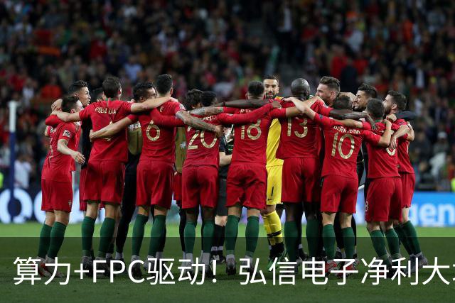 算力+FPC驱动！弘信电子净利大增139%，股价较年内高点回撤超40%